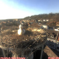 18_05-nest.jpg