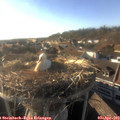 18_10-nest.jpg
