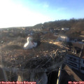 19_05-nest.jpg