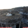 19_45-nest.jpg