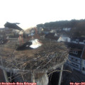 07_00-nest.jpg