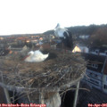 07_05-nest.jpg