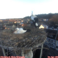 07_10-nest.jpg
