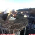 07_20-nest.jpg