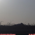 07_30-mast.jpg