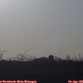 07_35-mast.jpg