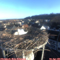 07_35-nest.jpg