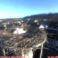 07_40-nest.jpg