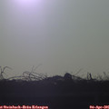 07_45-mast.jpg