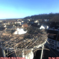 07_45-nest.jpg