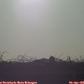 07_50-mast.jpg