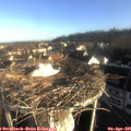 07_55-nest.jpg