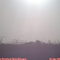 08_00-mast.jpg