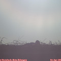 08_05-mast.jpg