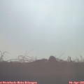08_10-mast.jpg