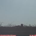 08_20-mast.jpg