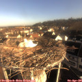 08_20-nest.jpg