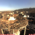 08_25-nest.jpg
