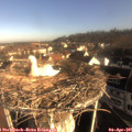 08_30-nest.jpg
