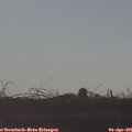08_40-mast.jpg