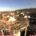 08_40-nest.jpg