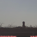 08_45-mast.jpg