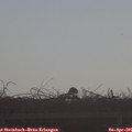 09_00-mast.jpg