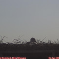 09_05-mast.jpg