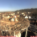 09_10-nest.jpg