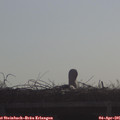 09_15-mast.jpg