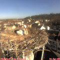 09_15-nest.jpg