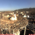 09_20-nest.jpg
