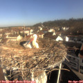 09_25-nest.jpg