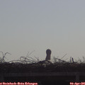 09_30-mast.jpg