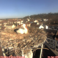 09_30-nest.jpg