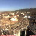 09_35-nest.jpg