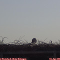 09_40-mast.jpg