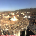 09_40-nest.jpg