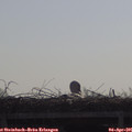 09_45-mast.jpg
