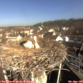 09_45-nest.jpg