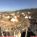 09_50-nest.jpg