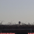 09_55-mast.jpg