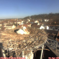 09_55-nest.jpg