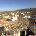 10_10-nest.jpg