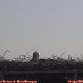 10_25-mast.jpg