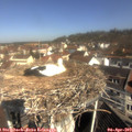 10_25-nest.jpg