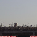 10_30-mast.jpg