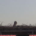 10_35-mast.jpg