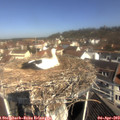 10_40-nest.jpg