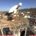 10_45-nest.jpg